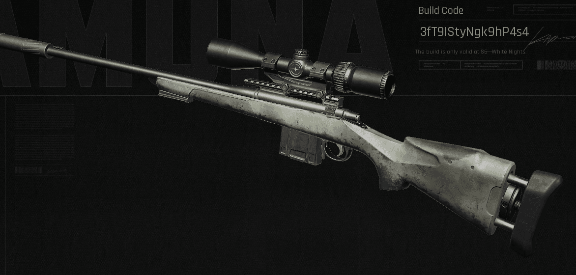 Arena Breakout Infinite M110